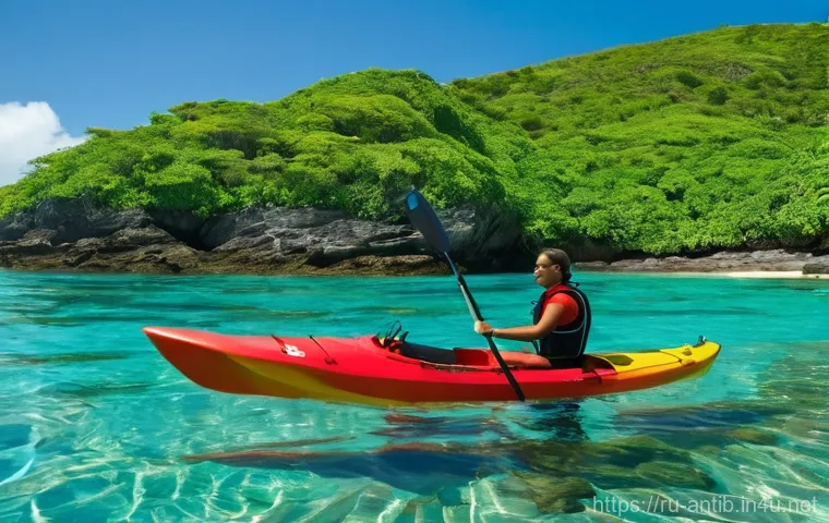 앤티가 바부다 프리먼스 베이 - **Antigua Snorkeling and Kayaking Adventure:**
A vibrant and serene scene depicting two individu...