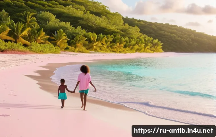 앤티가 바부다 바부다섬 관광 - Barbuda Pink Sand Beach Serenity**
A vibrant, high-resolution photograph depicting a serene scene on...