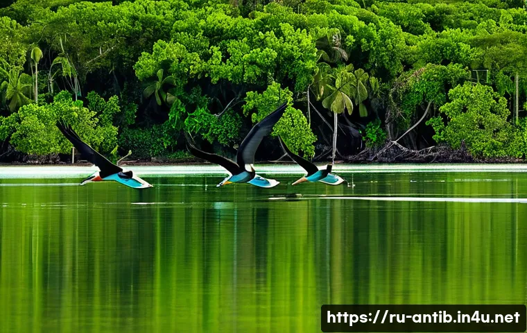 앤티가 바부다 바부다섬 관광 관련 이미지 1